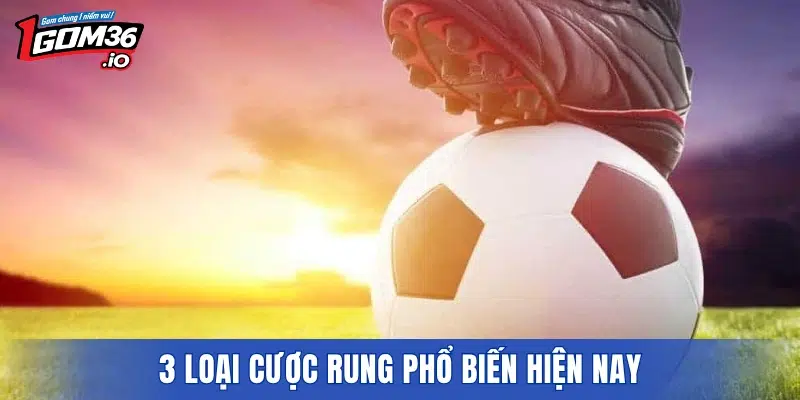 3 loại cược rung phổ biến hiện nay
