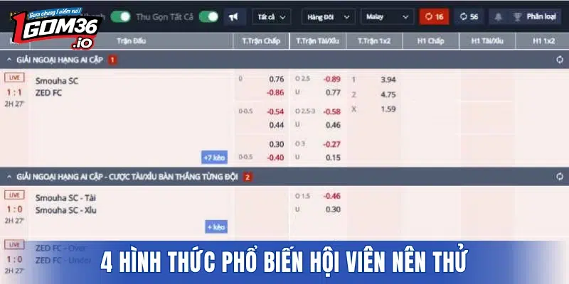 4 hình thức phổ biến hội viên nên thử