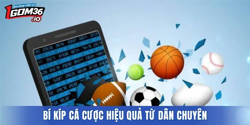 Bí kíp cá cược hiệu quả từ dân chuyên
