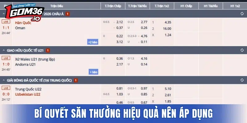 Bí quyết săn thưởng hiệu quả nên áp dụng