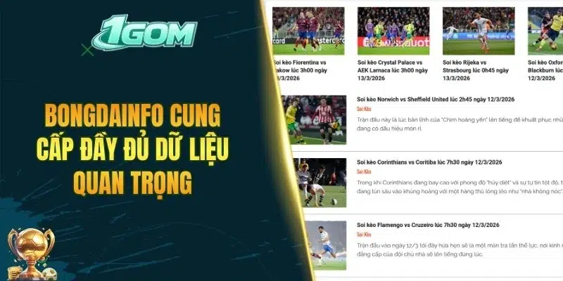 Bongdainfo cung cấp đầy đủ dữ liệu quan trọng