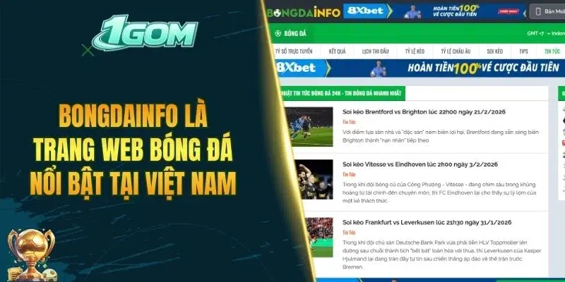 Bongdainfo là trang web bóng đá nổi bật tại Việt Nam