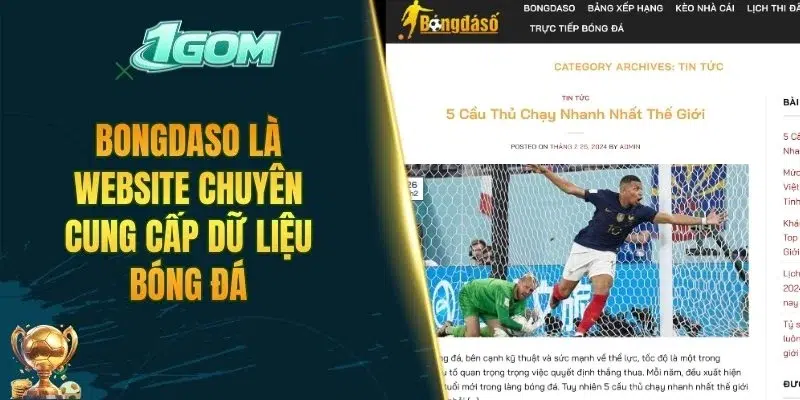 Bongdaso là website chuyên cung cấp dữ liệu bóng đá