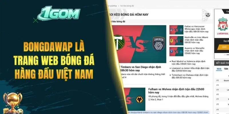 Bongdawap là trang web bóng đá hàng đầu Việt Nam