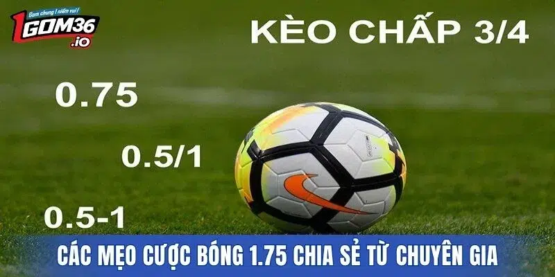 Các mẹo cược bóng 1.75 chia sẻ từ chuyên gia