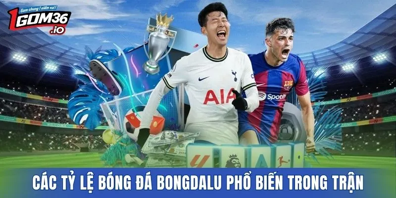 Các tỷ lệ bóng đá BONGDALU phổ biến trong trận