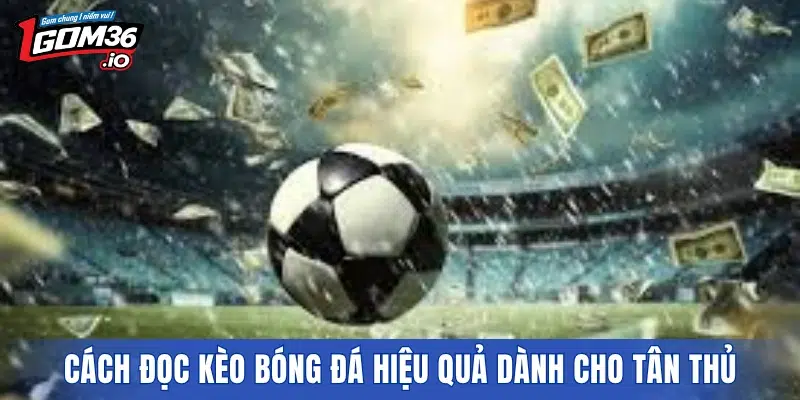 Cách đọc kèo bóng đá hiệu quả dành cho tân thủ