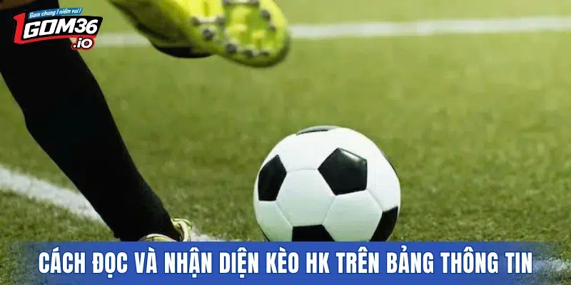 Cách đọc và nhận diện kèo HK trên bảng thông tin cược