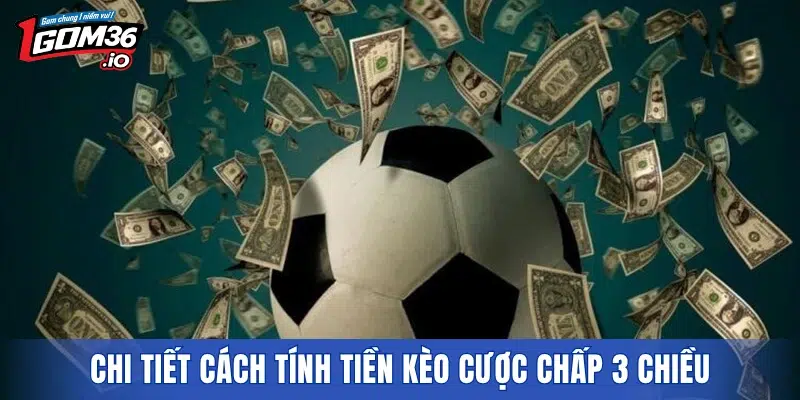 Chi tiết cách tính tiền kèo cược chấp 3 chiều