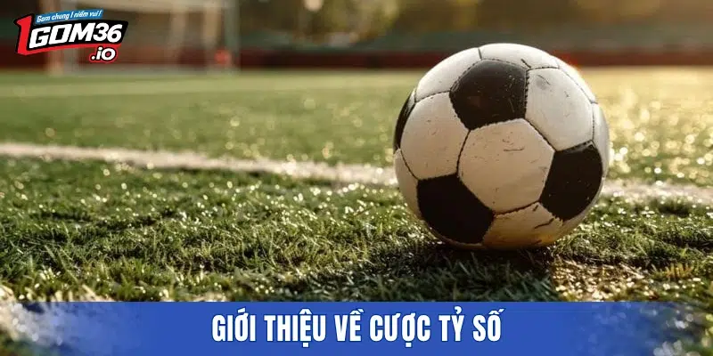 Giới thiệu về cược tỷ số