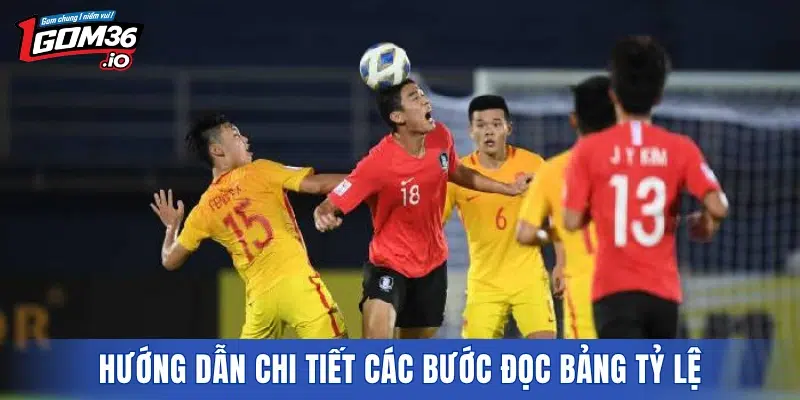 Hướng dẫn chi tiết các bước đọc bảng tỷ lệ