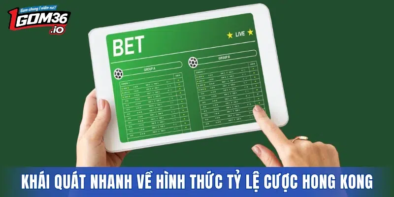 Khái quát nhanh về hình thức tỷ lệ cược Hong Kong