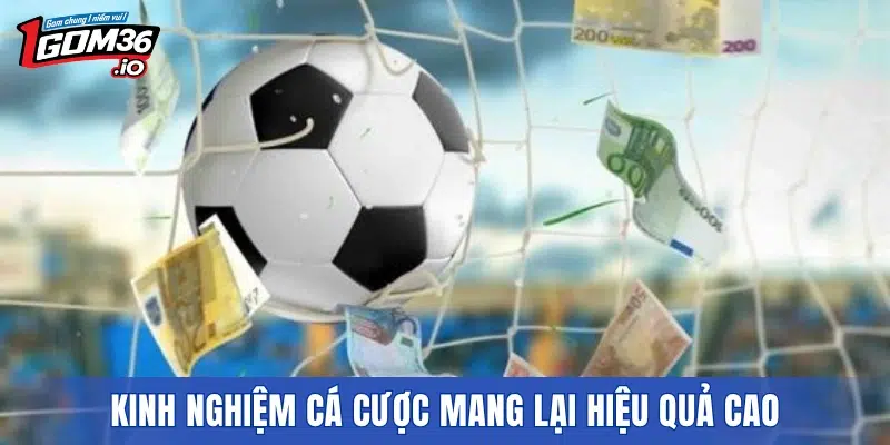 Kinh nghiệm cá cược mang lại hiệu quả cao