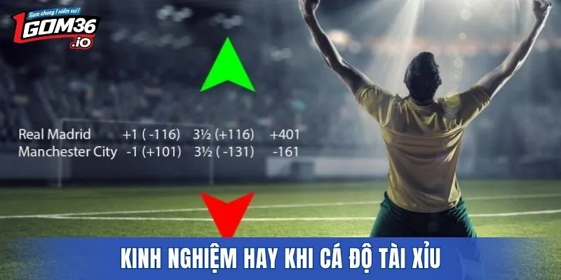 Kinh nghiệm hay khi cá độ tài xỉu