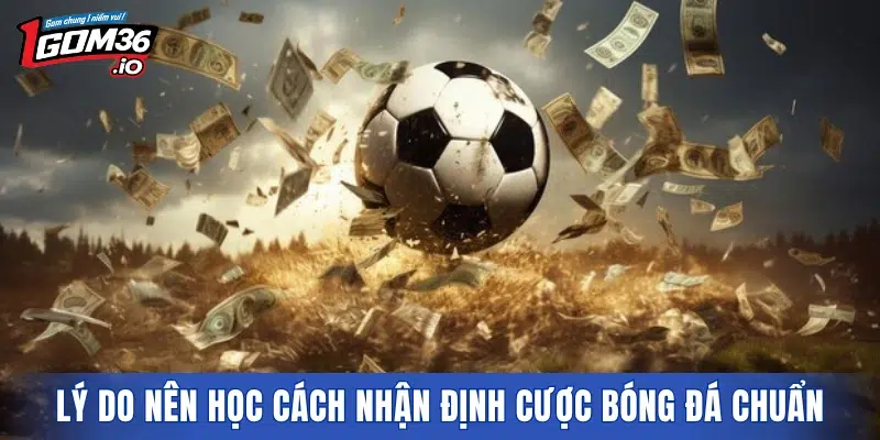 Lý do nên học cách nhận định cược bóng đá chuẩn xác