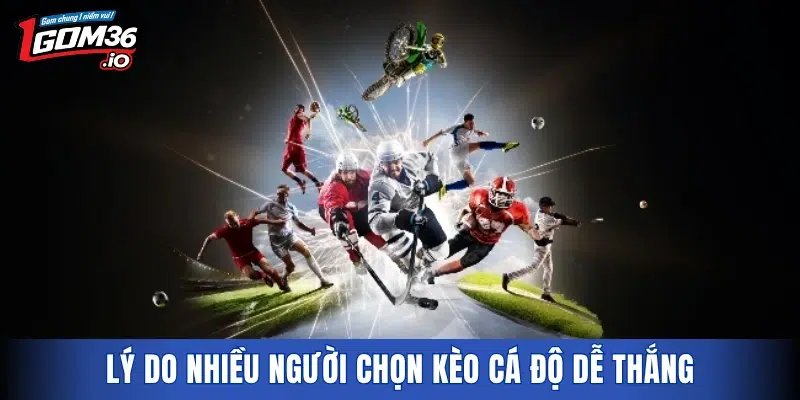 Lý do nhiều người chọn kèo cá độ dễ thắng