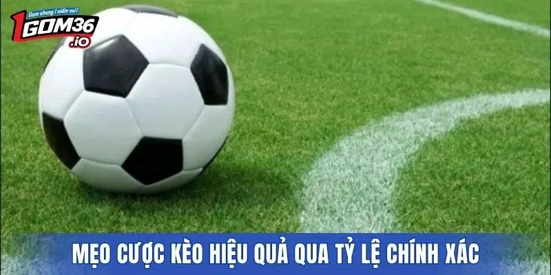 Mẹo cược kèo hiệu quả qua tỷ lệ chính xác