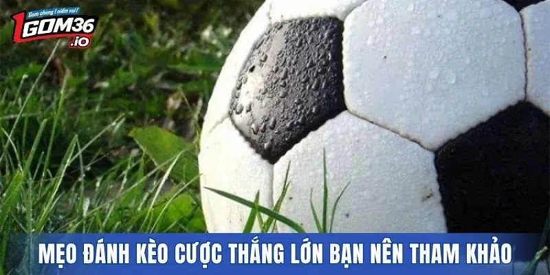 Mẹo đánh kèo cược thắng lớn bạn nên tham khảo