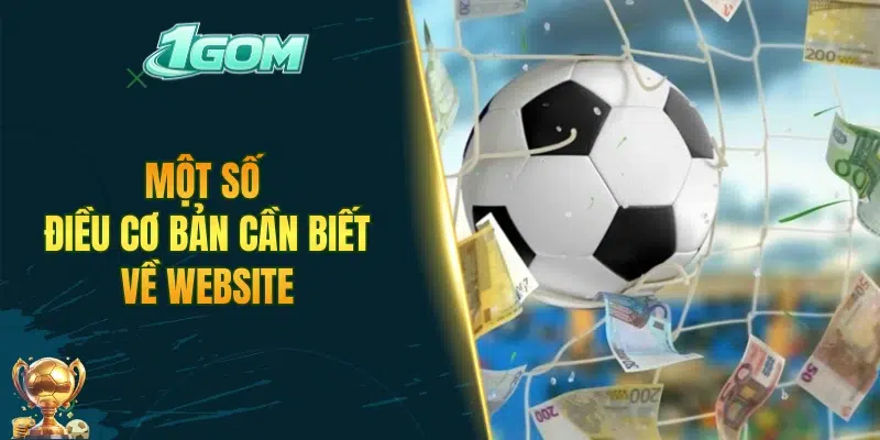 Một số điều cơ bản cần biết về website