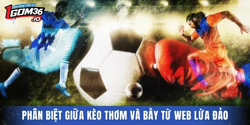 Phân biệt giữa kèo thơm và bẫy từ trang web lừa đảo