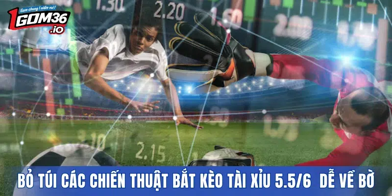 Bỏ túi các chiến thuật bắt kèo Tài Xỉu 5.5/6 dễ về bờ