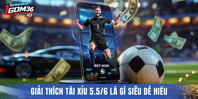 Giải thích Tài Xỉu 5.5/6 là gì siêu dễ hiểu