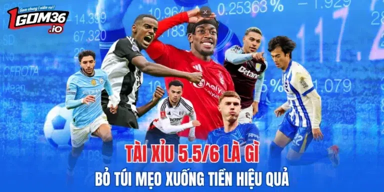Tài Xỉu 5.5/6 Là Gì  - Bỏ Túi Mẹo Xuống Tiền Hiệu Quả