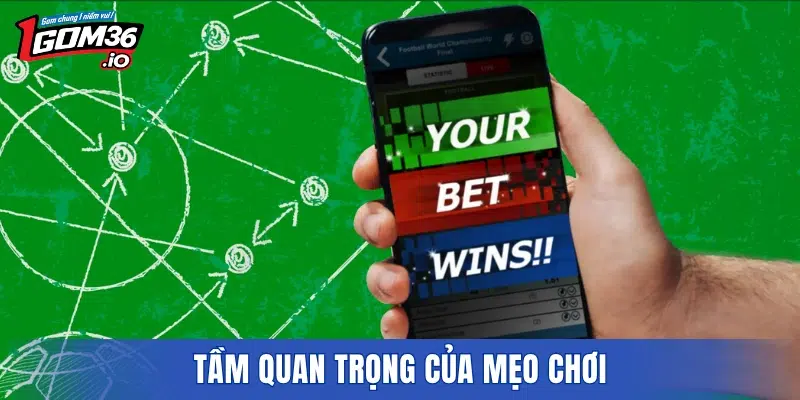 Tầm quan trọng của mẹo chơi
