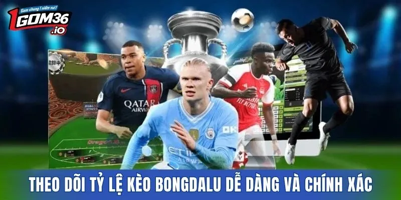 Theo dõi tỷ lệ kèo BONGDALU dễ dàng và chính xác