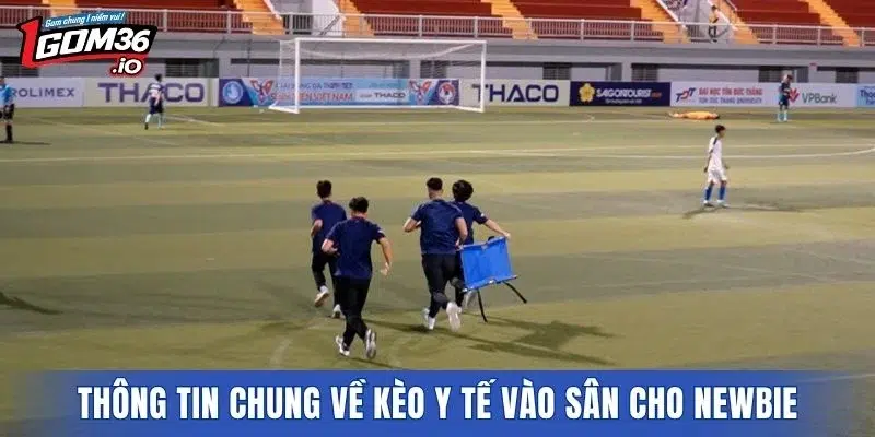 Thông tin chung về kèo y tế vào sân cho newbie