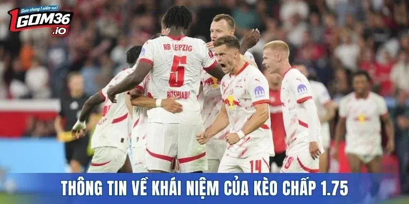 Thông tin về khái niệm của kèo chấp 1.75