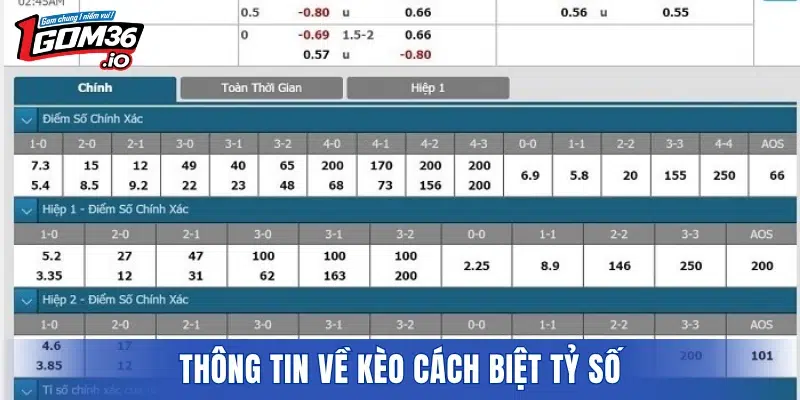 Thông tin về kèo cách biệt tỷ số