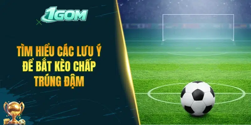 Tìm hiểu các lưu ý để bắt kèo chấp trúng đậm
