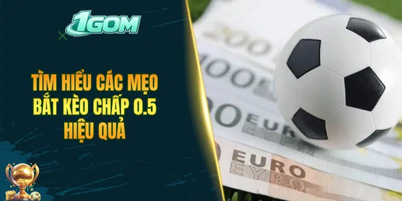 Tìm hiểu các mẹo bắt kèo chấp 0.5 hiệu quả