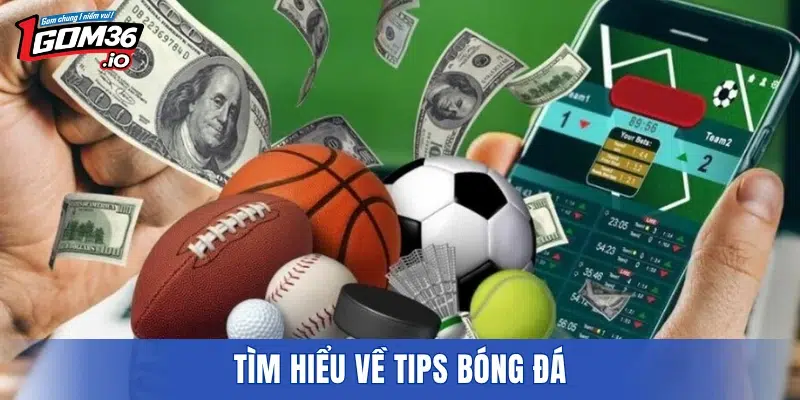 Tìm hiểu về tips bóng đá