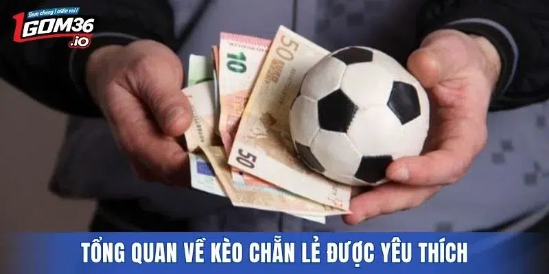 Tổng quan về kèo chẵn lẻ được yêu thích