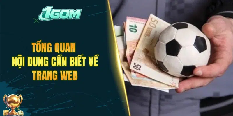 Tổng quan nội dung cần biết về trang web