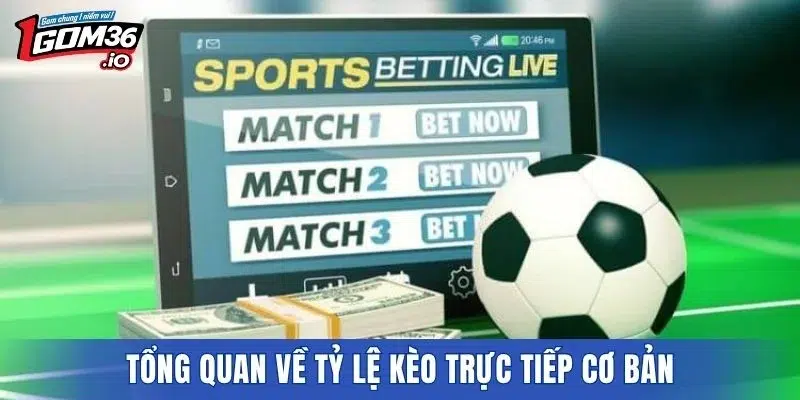 Tổng quan về tỷ lệ kèo trực tiếp cơ bản