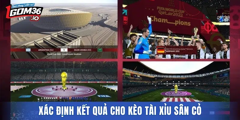 Xác định kết quả cho kèo tài xỉu sân cỏ