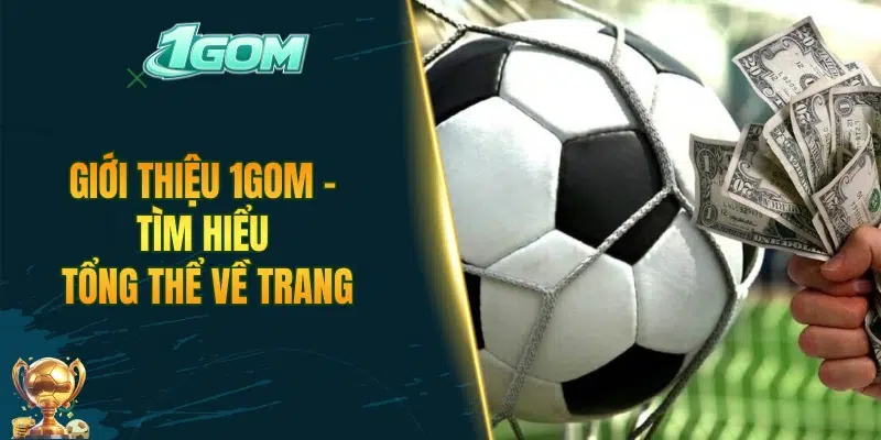Giới thiệu 1GOM - Tìm hiểu tổng thể về trang