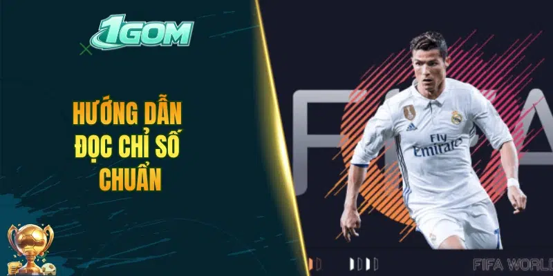 Hướng dẫn đọc chỉ số chuẩn
