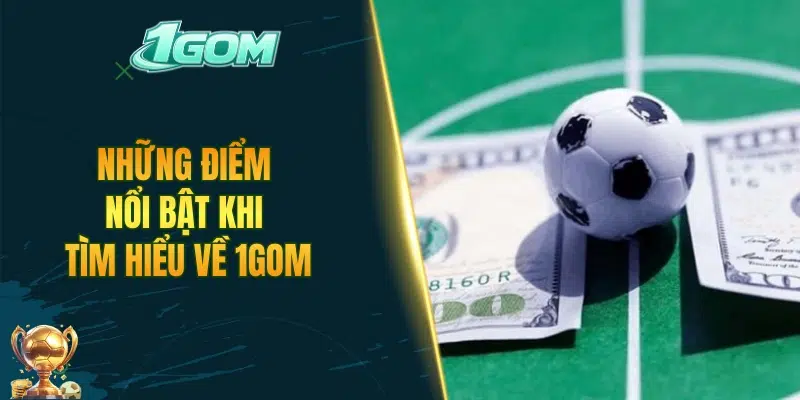 Những điểm nổi bật khi tìm hiểu về 1GOM