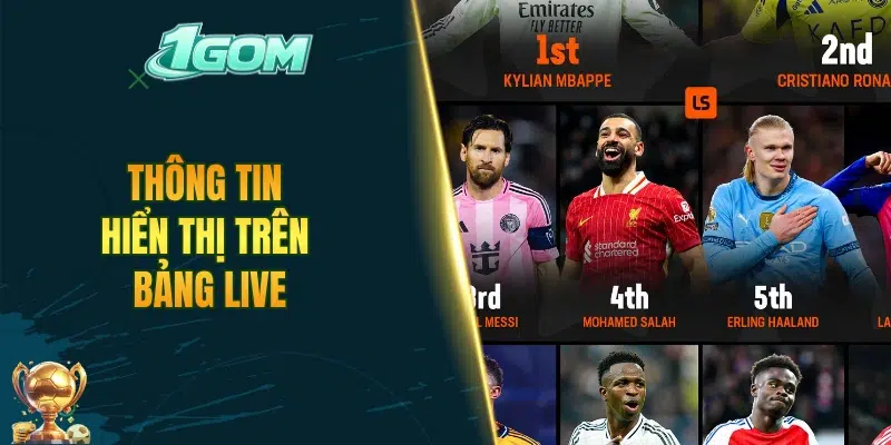 Thông tin hiển thị trên bảng live