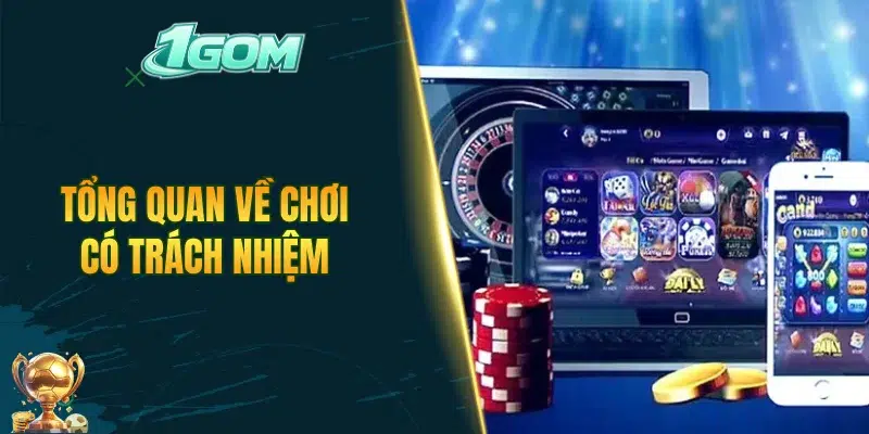 Tổng quan về chơi có trách nhiệm